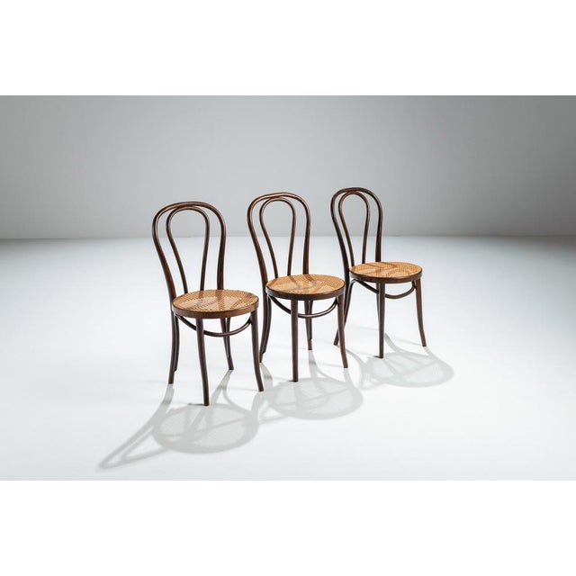 A set of three Thonet "Chaplin" chairs, produced in Romania. This set represents a beautiful blend of minimalist design...
