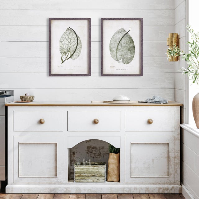 Kenneth Ludwig Chicago Cordate Leaf Study, Set Of 2 For Sale - Image 4 of 5