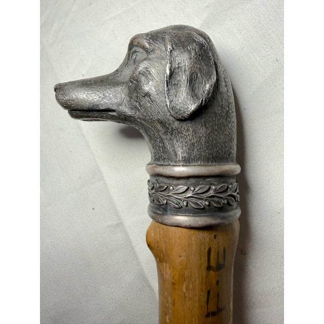 19th Century Antique 19th Century Handmade 800 Sterling Silver Wood Dog Walking Stick Cane For Sale - Image 5 of 18