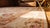 1880s Ivory Floral Antique European Aubusson Rug 17'9" X 17'9" Handknotted Wool Carpet For Sale - Image 10 of 10
