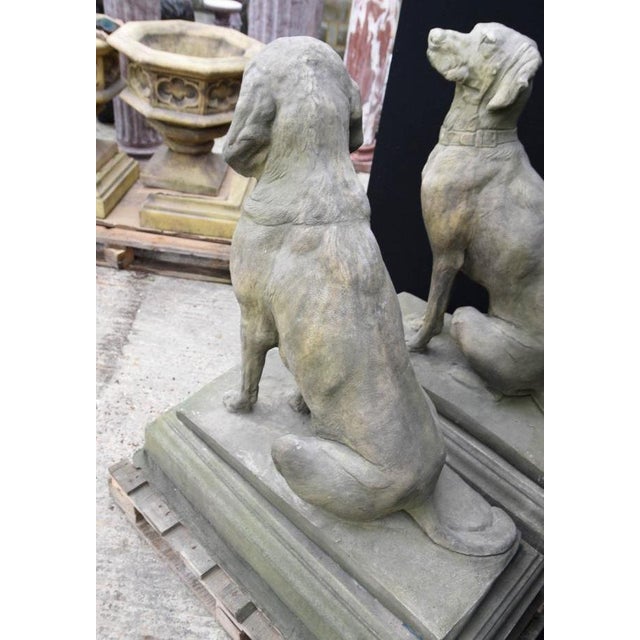 Large English Stone Guard Dogs Garden Statue, Set of 2 For Sale - Image 4 of 14