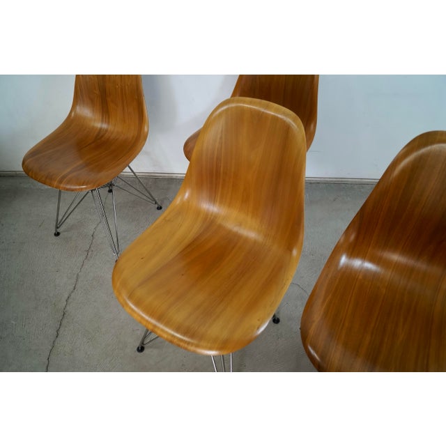 Set of 4 Authentic Herman Miller Eames Walnut Dining Chairs For Sale - Image 9 of 12
