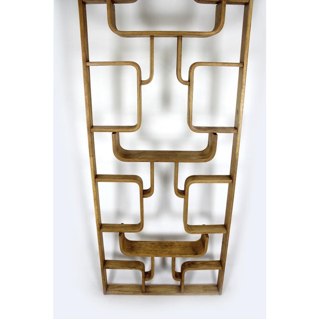 Mid-Century Modern Room Divider by Ludvik Volak for Drevopodnik Holesov, 1960s For Sale - Image 4 of 18