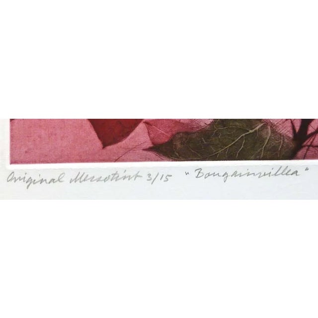 g.h Rothe Bougainvillea 1981 Mezzotint Hand Signed Artwork For Sale - Image 4 of 4