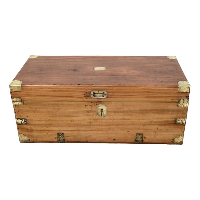 Camphor Tree Trunk, Late 19th Century For Sale