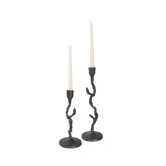 Crooked Branch Candlestick- Short For Sale - Image 10 of 11