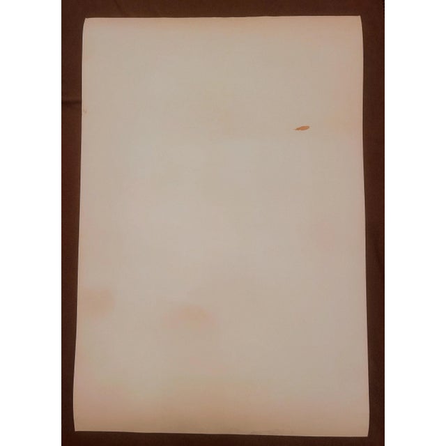 1970s Vintage Lowell Nesbitt “Yellow Tulip” Hokin Gallery Art Show Poster For Sale - Image 12 of 12