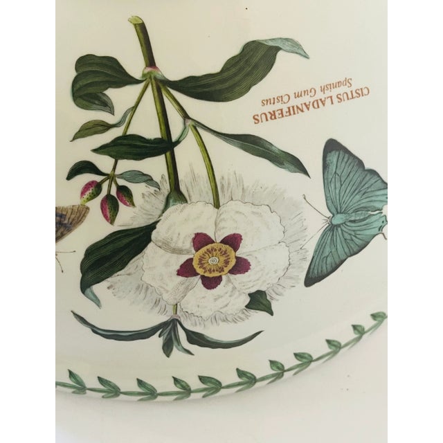 Large Mixing Botanical Ceramic Bowl With Butterflies English For Sale In Miami - Image 6 of 6