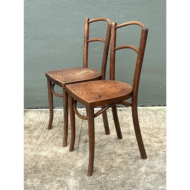 Vintage Carved Crocodile Wood Dining Chairs - A Pair For Sale - Image 10 of 12