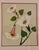 Textile Original Art, Morning Glories, Custom Framed Art Painted on Silk For Sale - Image 7 of 11