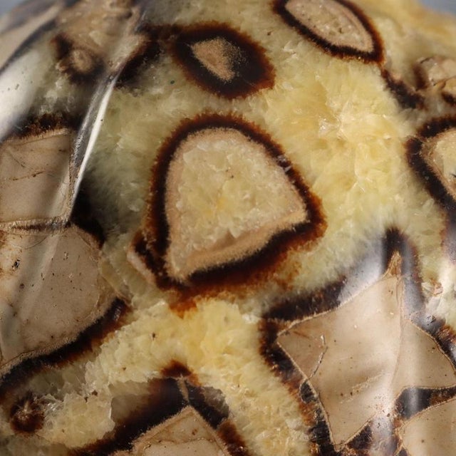 European Sculpture in Septarian Stone For Sale - Image 5 of 9