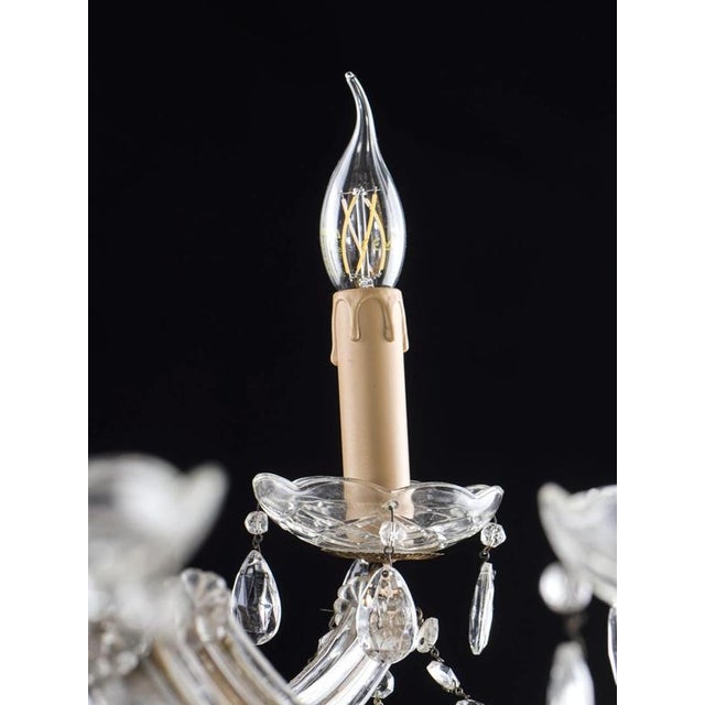2000 - 2009 Small Crystal 8-Light Chandelier For Sale - Image 5 of 8