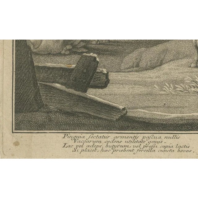 Johann Jakob Kleinschmidt, Shepherd, Cattle, and Ruins, 1800s, Engraving For Sale - Image 4 of 7