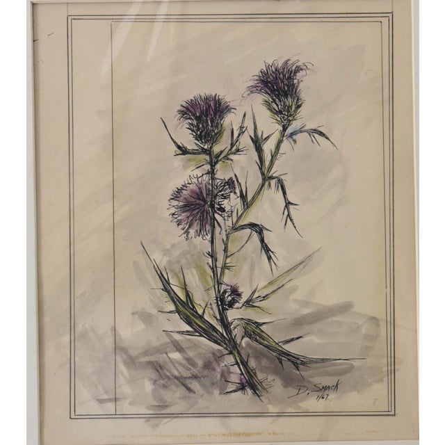 This original 1967 botanical illustration depicts a cluster of wild thistles in a style characteristic of mid-to-late...