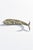 Mid-Century Modern Large Mid Century Abalone Shell Articulated Fish Bottle Opener For Sale - Image 3 of 10
