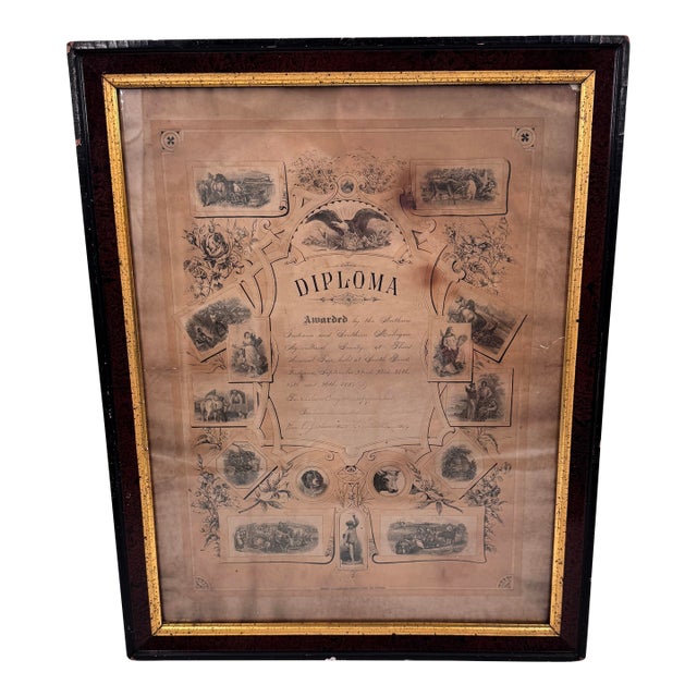 1884 Agricultural Fair Diploma Indiana Southern Michigan Americana For Sale