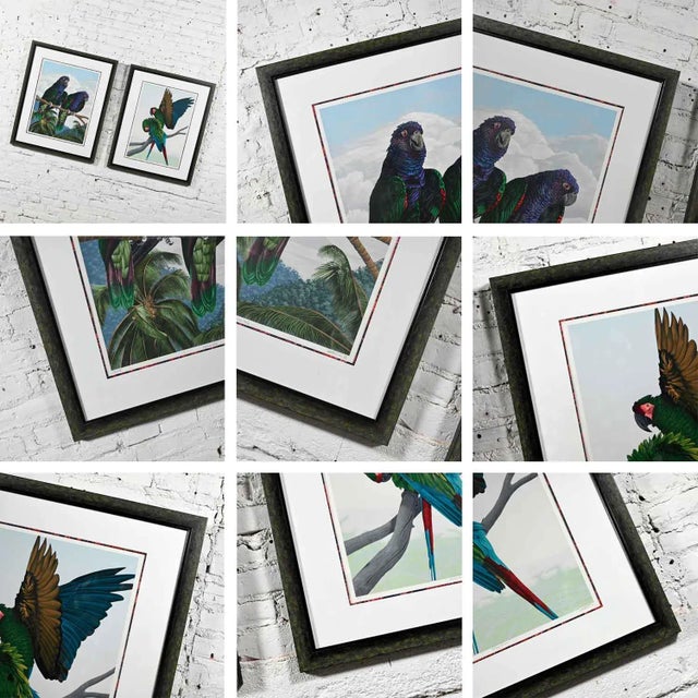 Vintage Dallas John Limited Edition Hand Signed Imperial Mates & Military Macaws Fine Art Serigraph Parrots For Sale - Image 10 of 13