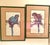 1980s Parrot Framed Prints by Paul Brent - Set of 2 For Sale - Image 6 of 12