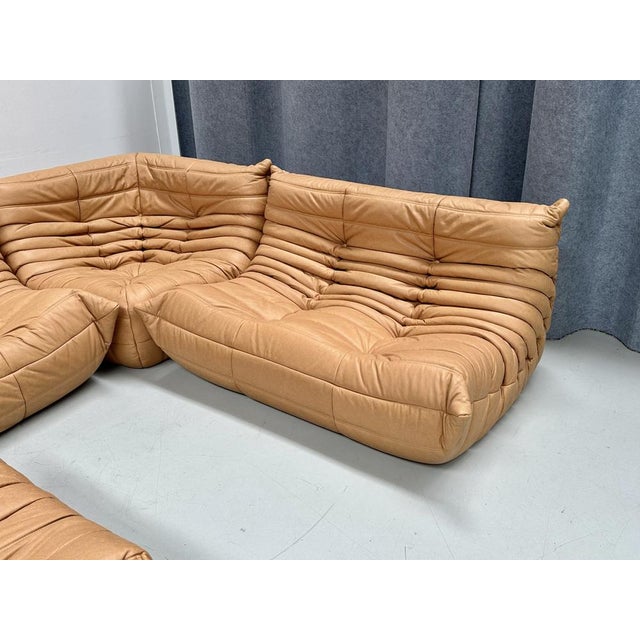French Camel Brown Leather Togo Living Room Set attributed to Michel Ducaroy for Ligne Roset, Set of 4 For Sale - Image 5 of 15