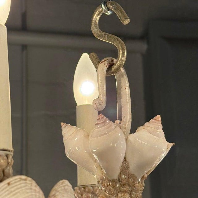 1990s Coastal Grand French Hand-Crafted Grotto Nautical Multi-Stem Coral Shell Chandelier For Sale - Image 16 of 16