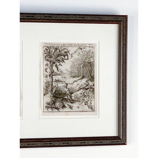 17th Century "Industries and Culture of the West Indies", Dutch, Circa 1660 For Sale - Image 5 of 6