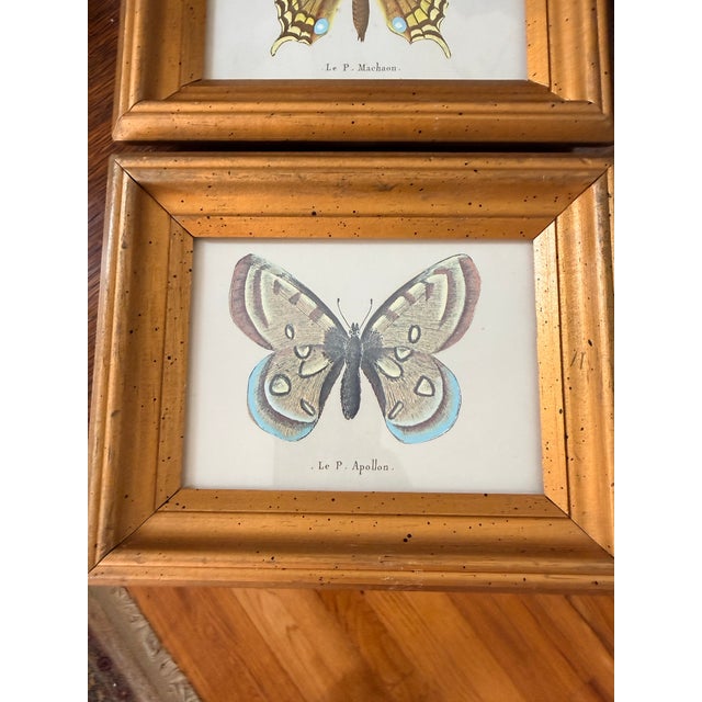 This set includes two vintage butterfly prints, each beautifully framed in a gold toned wooden frame. The prints feature...