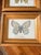 This set includes two vintage butterfly prints, each beautifully framed in a gold toned wooden frame. The prints feature...