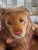 This is a beautiful vintage 1950s Leo, the lion from Steiff. In great condition, in practically new “out of box”...