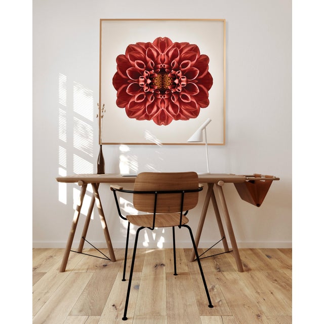 Contemporary "Terrene" Contemporary Botanical Limited Edition Photograph For Sale - Image 3 of 4