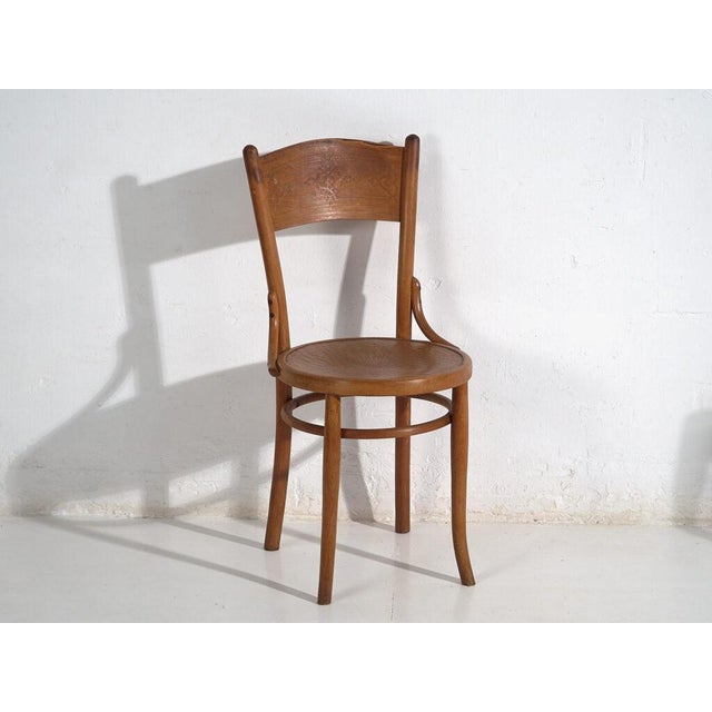 Antique Dining Chairs from Ton, Set of 8 For Sale - Image 3 of 18