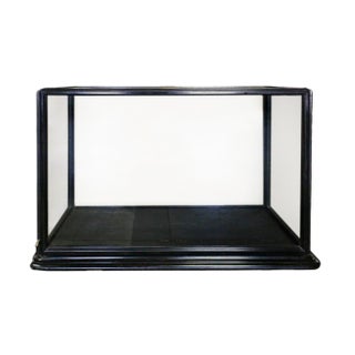 Antique English Museum Display Cabinet For Sale
