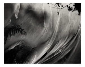Ugne Pouwell, Wind Stretched Daydream, 2022, Photography