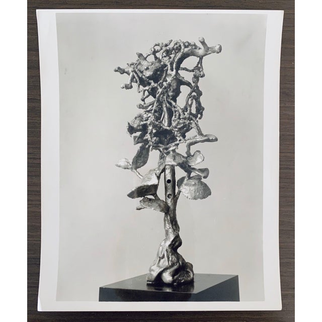 1950s Adolph Studly, Vintage Silver Gelatin Photograph Jacques Lipchitz Bronze Sculpture Photo Signed, 1958 For Sale - Image 5 of 5