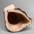 Japanese Shōwa Shigaraki Ware Tanuki Statue, 1960s For Sale - Image 11 of 12