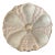 Late 19th Century Carl Tielsch Porcelain Pink and Gold Oyster Plate Neptune and Mermaids For Sale