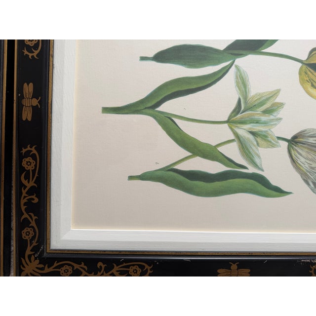 1990s Tulip Mania Set of Four Botanical Lithograph Prints From Scully & Scully in Black/Gold Scroll Frames - Set of 4 For Sale - Image 9 of 18