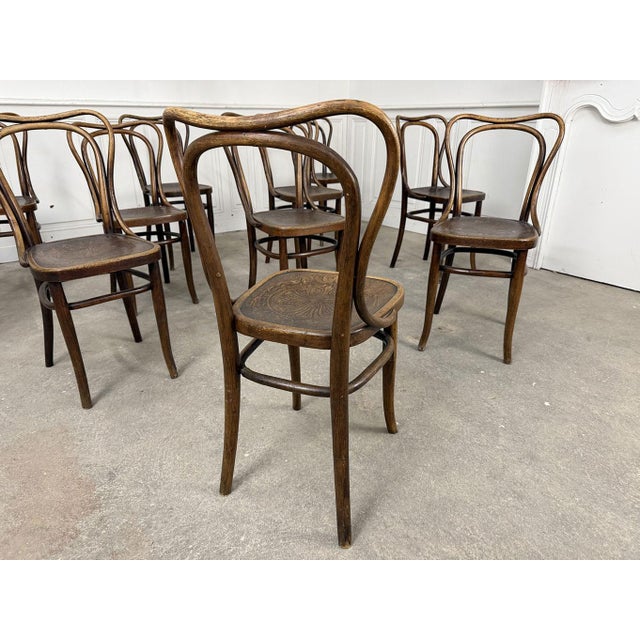 Wood Bistro Chairs from Thonet, 1920, Set of 12 For Sale - Image 7 of 9