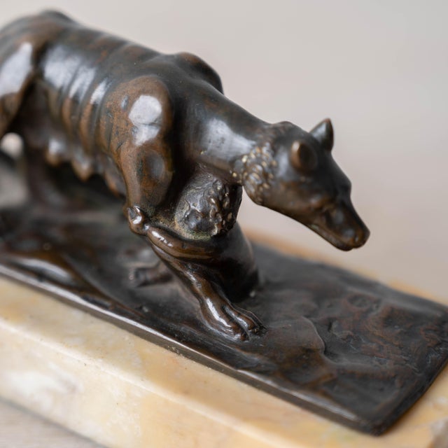 Grand Tour Capitoline She-Wolf Bronze (Lupa Capitolina), c.1880 For Sale In Savannah - Image 6 of 12