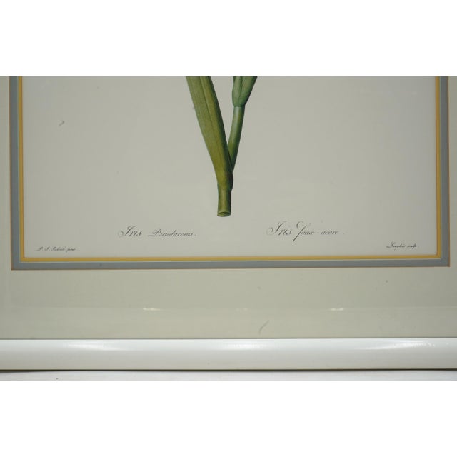 Set of 3 Floral Engraving Prints For Sale - Image 10 of 12