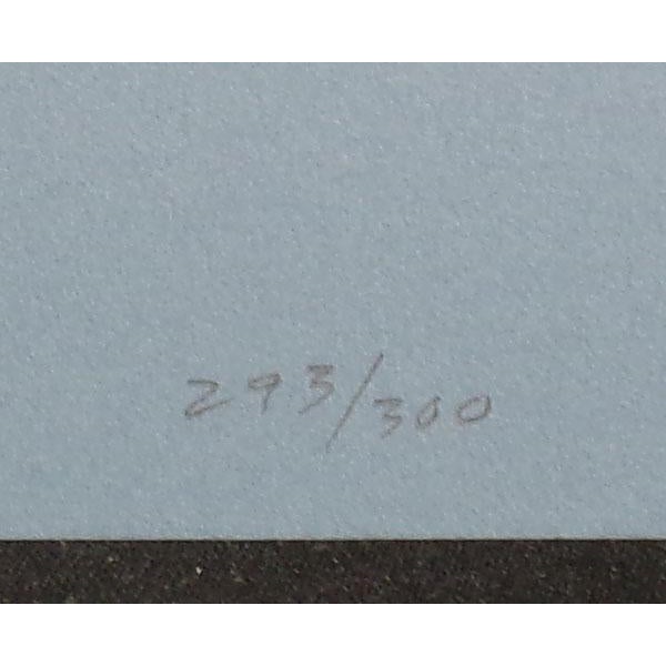 Blue Scott Nellis "Gatun Lake Blue I& Ii" Hand Signed & Numbered Fine Art Serigraph For Sale - Image 8 of 9