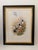 Traditional 1990s John Gould Framed Print Hill House Edition Framed Pair of Hummingbirds, Plate 69 & 69 For Sale - Image 3 of 12