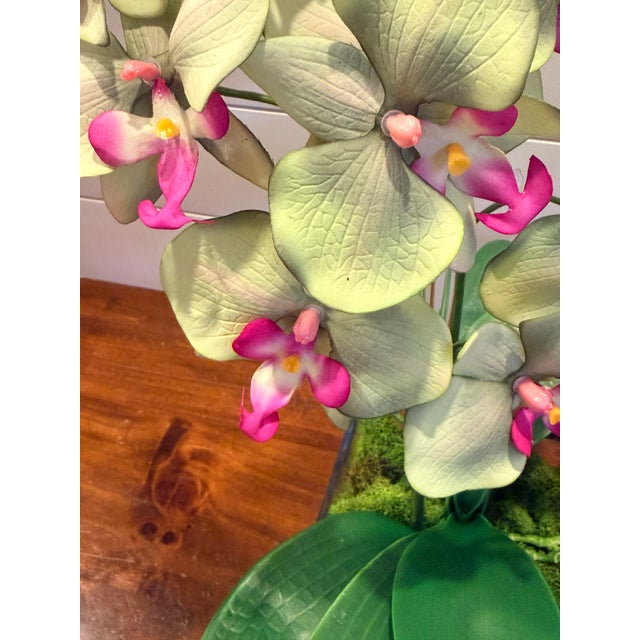 Elevate your space with the effortless beauty of Mint Leaf Orchid Luxe arrangement - an artful expression of palm Beach...