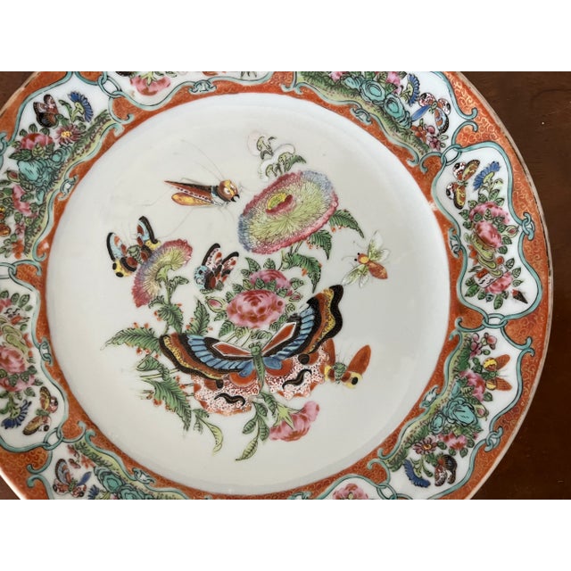 Antique Early 19th Century Chinese Export Porcelain Plate With Rose Medallion Decoration of Butterflies and Insects For Sale - Image 4 of 10