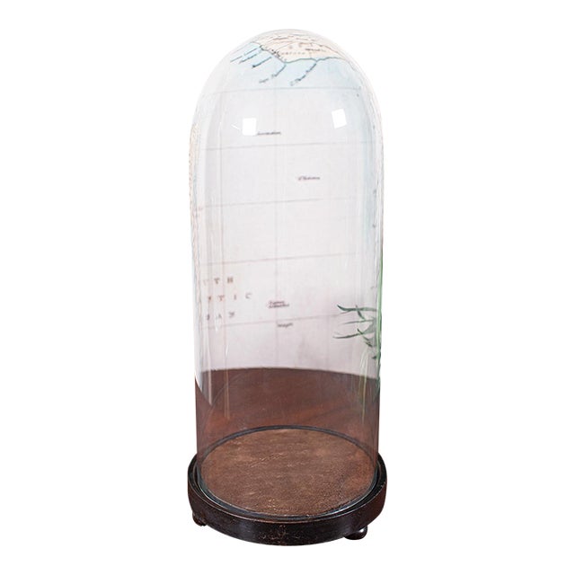 Tall Antique Victorian Taxidermy Dome, English, Glass Collector's Showcase, 1900 For Sale
