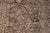 Magnificent Nature Inspired Modern Transitional Rug, Country of Origin: Pakistan, Circa date: Modern