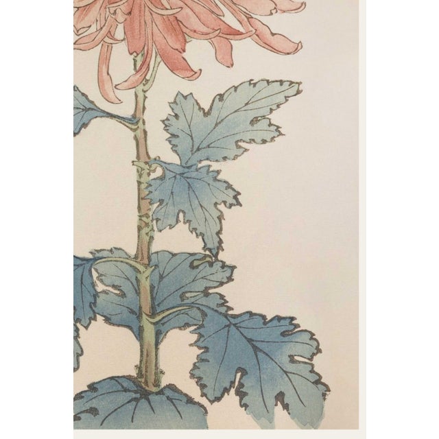 Not Yet Made - Made To Order Pink Flower by Hasegawa, Vintage Japanese Botanical Art Print, 8" X 12" For Sale - Image 5 of 8