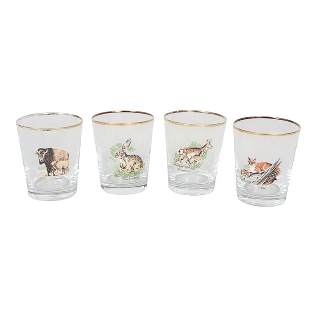 Mid 20th Century American Wildlife Glass Tumblers - Set of 4 For Sale