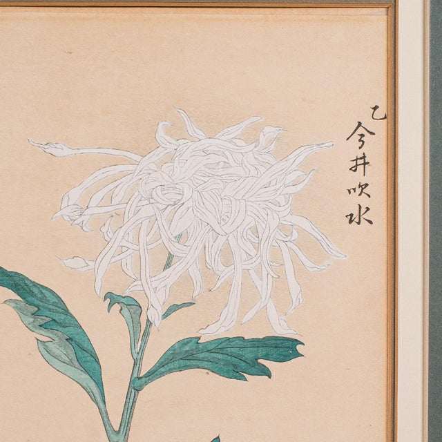 2 Vintage Botanical Pictures, Japanese, Woodblock Print, After Hasegawa, Art For Sale - Image 9 of 10
