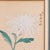 2 Vintage Botanical Pictures, Japanese, Woodblock Print, After Hasegawa, Art For Sale - Image 9 of 10