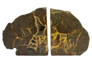 Mid-Century Septarian Stone Bookends - a Pair
